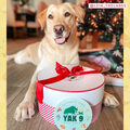 Yak9 Holiday Gift Box
