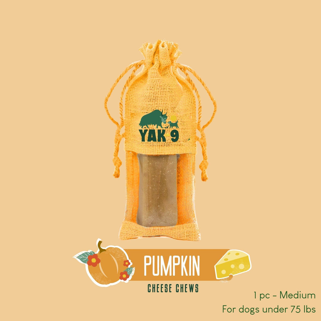 Yak9 Pumpkin Yak Chews for Dogs - Yak9 Chews