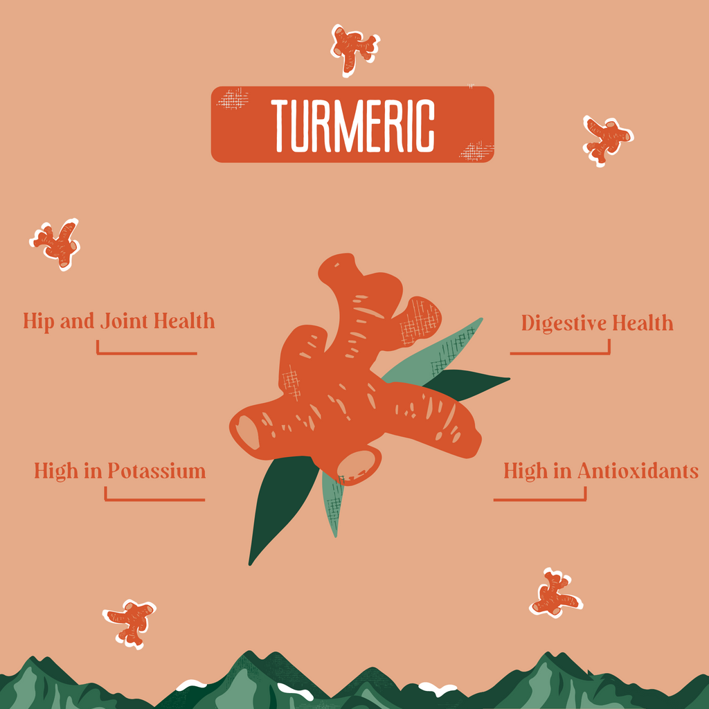 Yak9 Turmeric Milk Chews for Dogs - Yak9 Chews