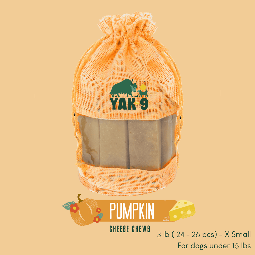 Yak9 Pumpkin Yak Chews for Dogs - Yak9 Chews