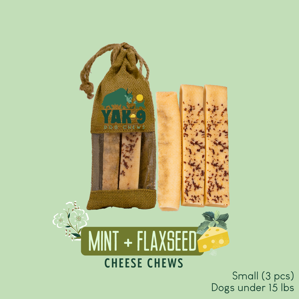 Flaxseed & Mint Cheese Chews for Dogs | Yak9 Chews