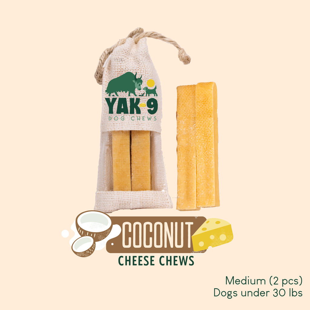 Coconut Yak Milk Chews for Dogs | Yak9 Chews