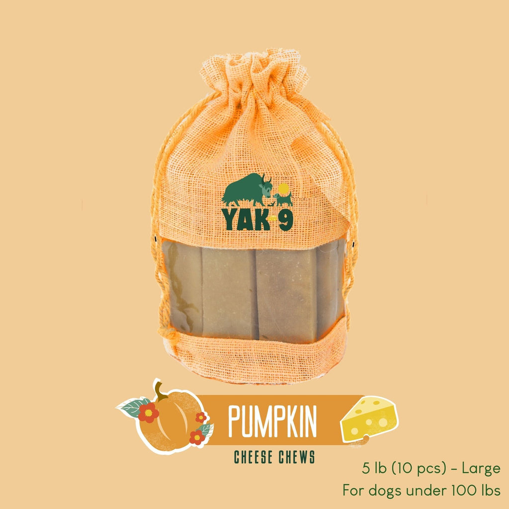 Yak9 Pumpkin Yak Chews for Dogs - Yak9 Chews