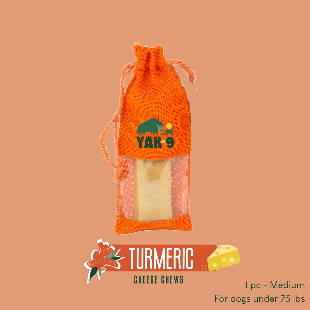 Yak9 Turmeric Milk Chews for Dogs - Yak9 Chews