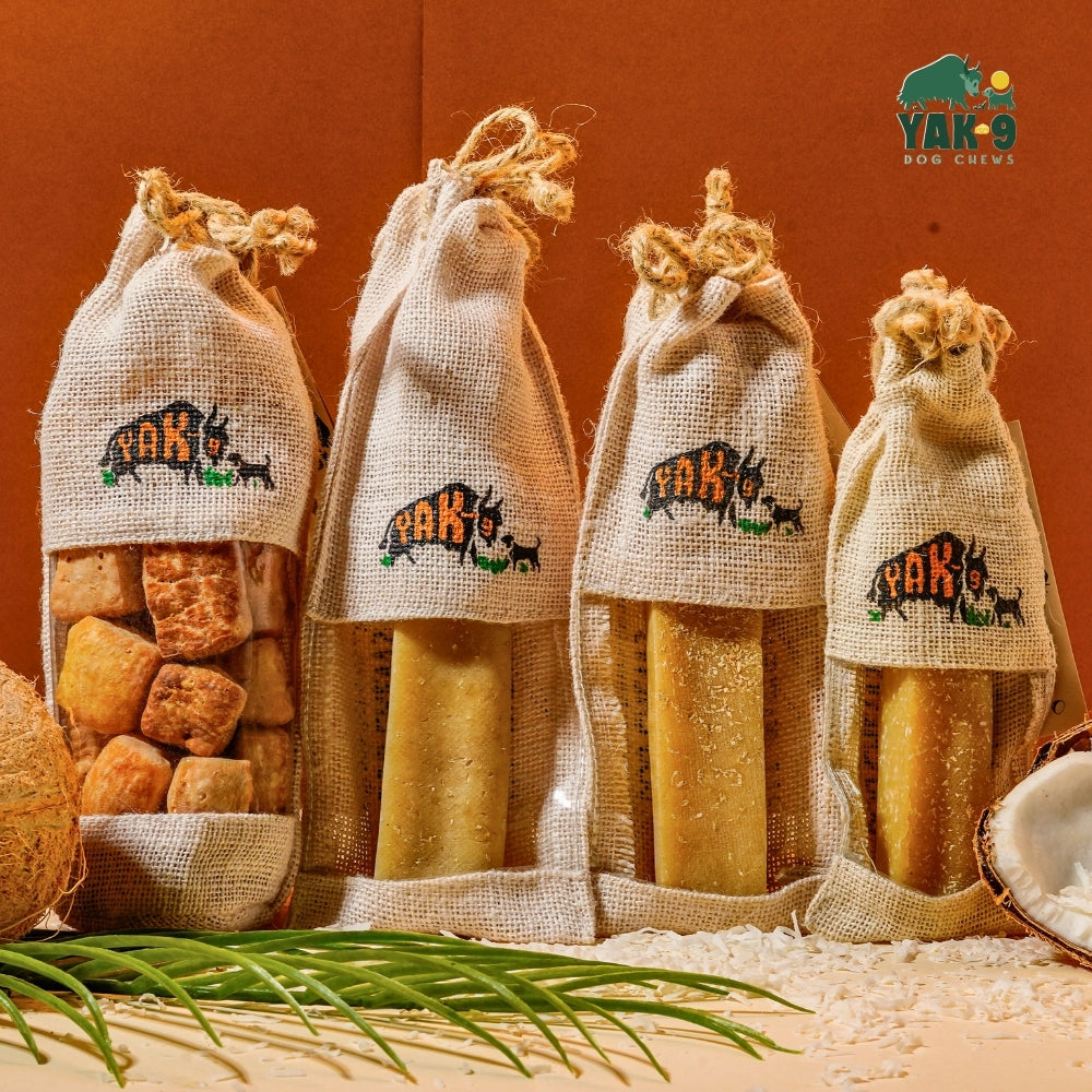 Coconut Yak Milk Chews for Dogs | Yak9 Chews