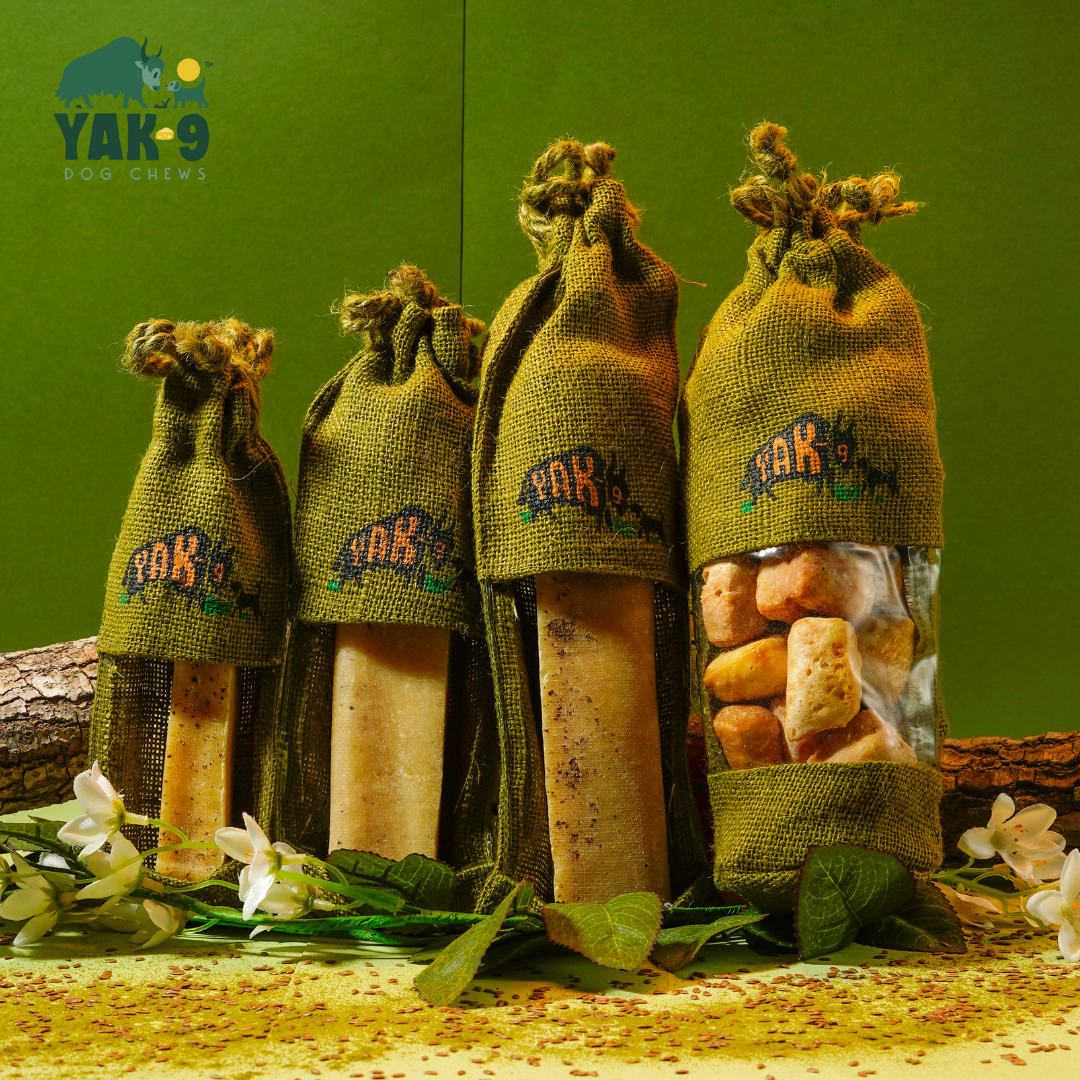 Flaxseed & Mint Cheese Chews for Dogs | Yak9 Chews