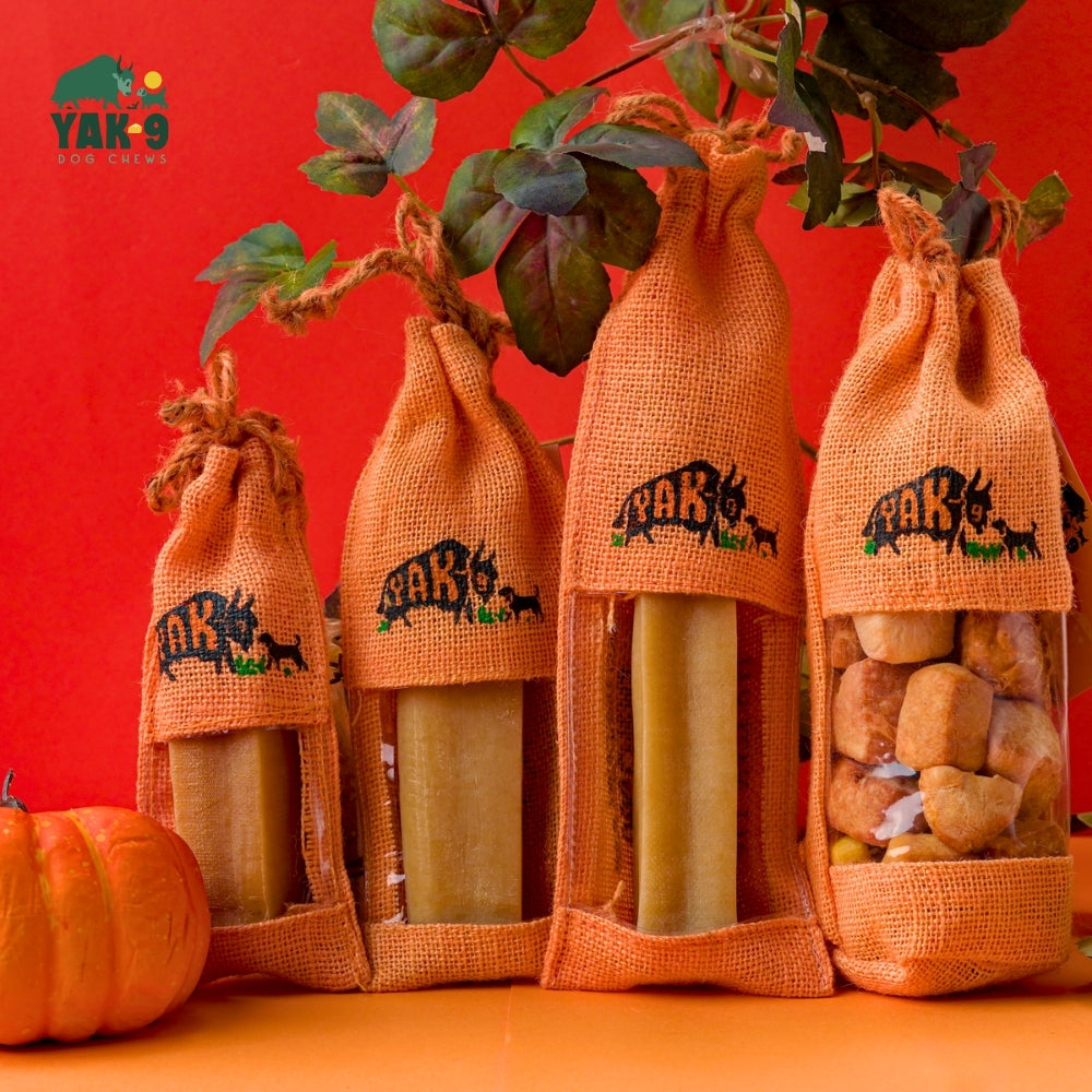 Pumpkin Yak Chews for Dogs | Yak9 Chews