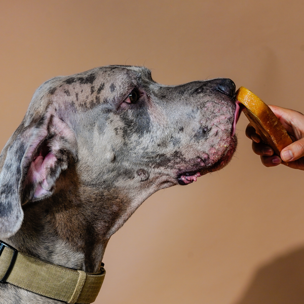 100% Yak Milk Chews for Dogs