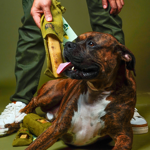 Flaxseed & Mint Cheese Chews for Dogs