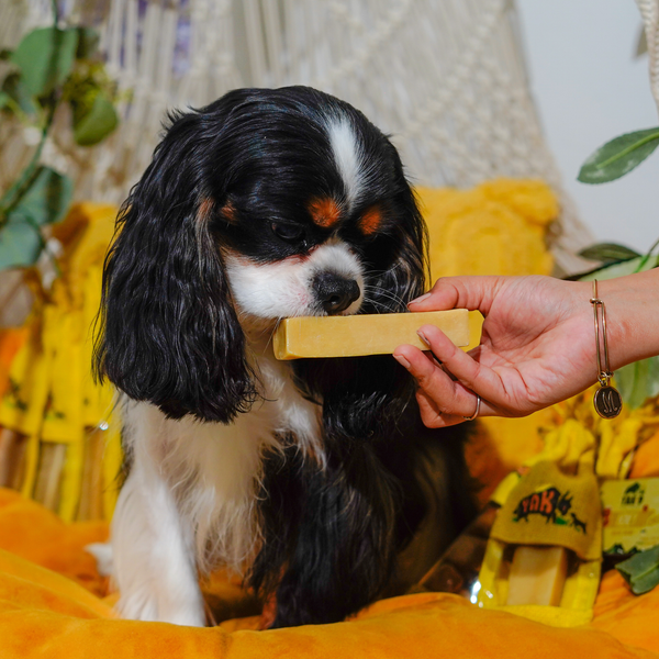 Yak9 Honey & Spirulina Cheese Chews for Dogs