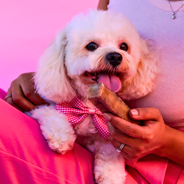Strawberry Cheese Chews for Dogs