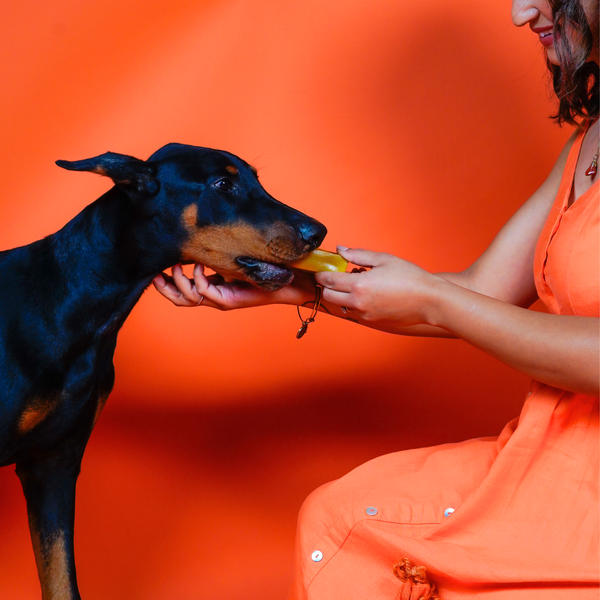 Turmeric Cheese Chews for Dogs