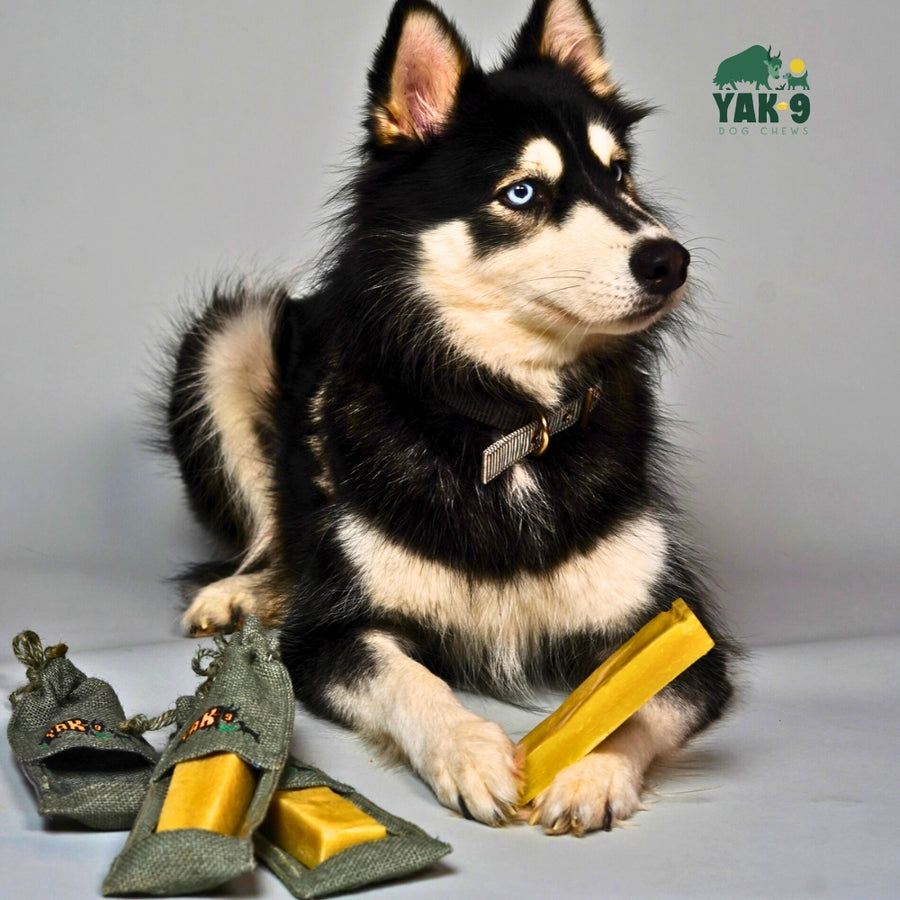 Yak and Cow Cheese Chews for Dogs