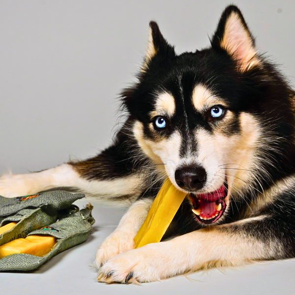 Yak and Cow Cheese Chews for Dogs