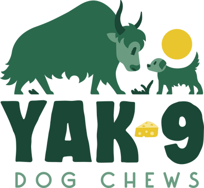 Yak9 Chews