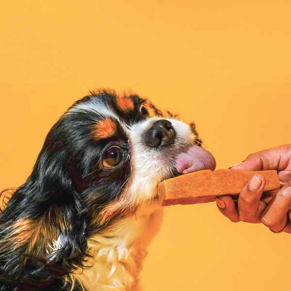 Peanut Butter & Banana Chews for Dogs