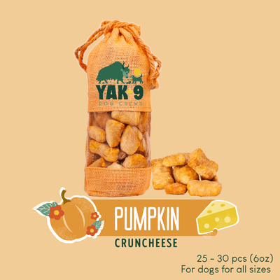 Pumpkin Cruncheese