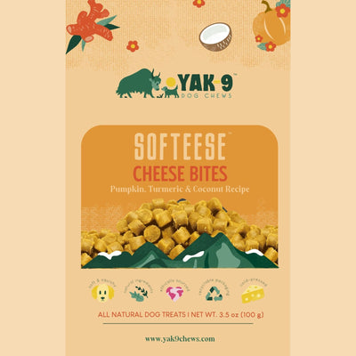 PUMPKIN, TURMERIC, AND COCONUT