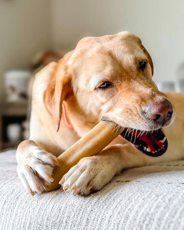 Apple & Cinnamon Chews for Dogs