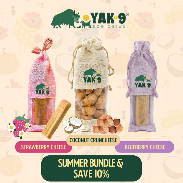Yak9 Summer Bundle | Yak9 Chews